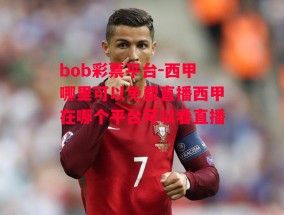 bob彩票平台-西甲哪里可以免费直播西甲在哪个平台可以看直播