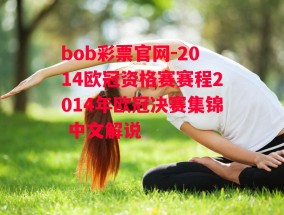 bob彩票官网-2014欧冠资格赛赛程2014年欧冠决赛集锦 中文解说