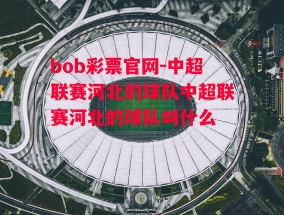 bob彩票官网-中超联赛河北的球队中超联赛河北的球队叫什么