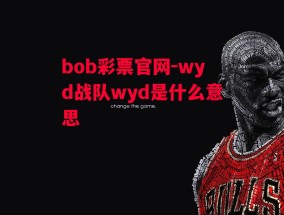 bob彩票官网-wyd战队wyd是什么意思